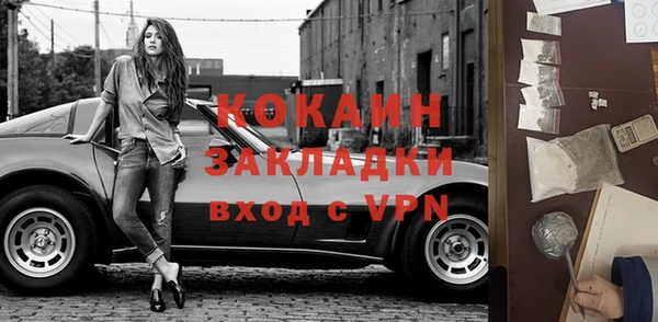 мет Алексин