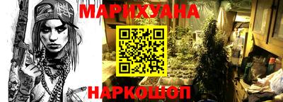 индика Обнинск