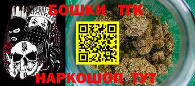 индика Пенза